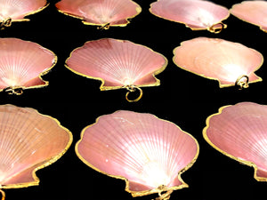 Mother Of Pearl Shells Sku#M665