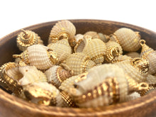 Mother Of Pearl Shells, Sku#M669