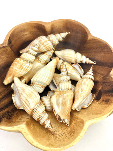 Mother Of Pearl Shell Sku#M650