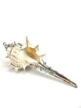 Mother Of Pearl Shell Sku#M662