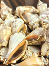 Mother Of Pearl Shell Sku#M645
