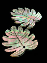 Black Tahitian Mother Of Pearl Monstera Sku#M299