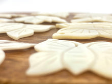 White South Sea Mother Of Pearl Butterfly, Sku#M300