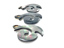 Black Tahitian Mother Of Pearl Shell Sku#M462