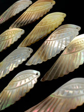 Black Tahitian Mother Of Pearl Wings Sku#M259
