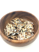 Mother Of Pearl Dog Sku#M481