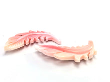 Mother Of Pearl Plant Sku#M552