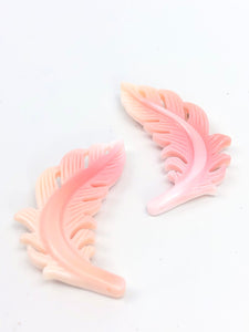 Mother Of Pearl Plant Sku#M552