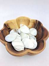 Mother Of Pearl Shell Sku#558