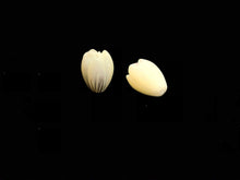 White South Sea Mother Of Pearl Pikake Beads Sku#M520