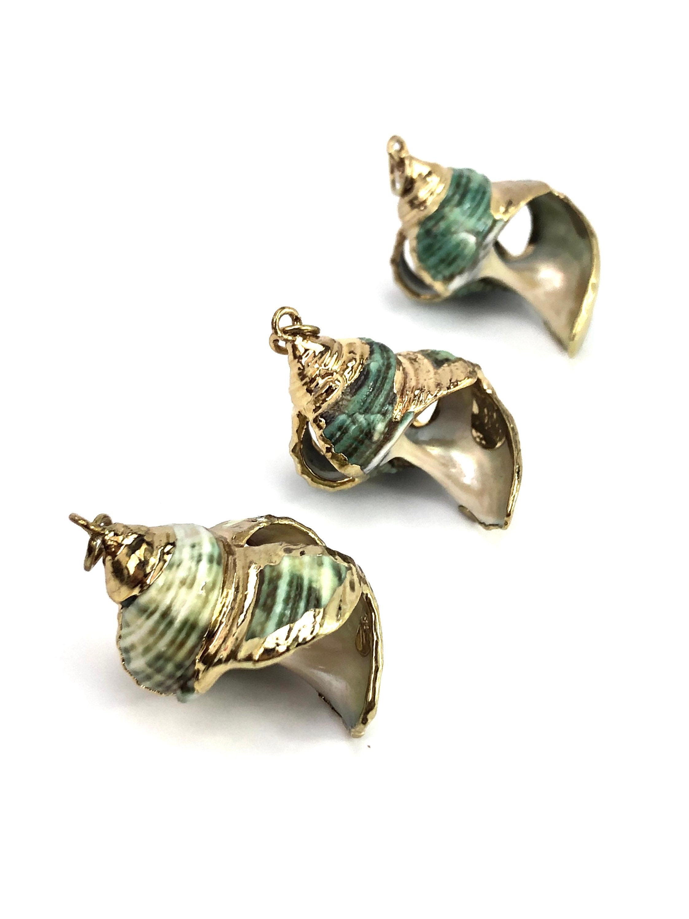 Mother Of Pearl Shell Sku#M666 – Aloha Pearls & Schwartz