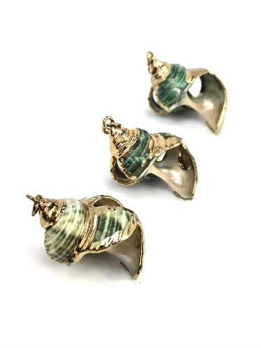 Mother Of Pearl Shell Sku#M666