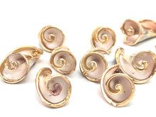 Mother Of Pearl Beads Sku#M659