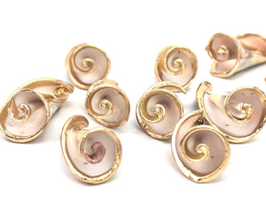 Mother Of Pearl Beads Sku#M659