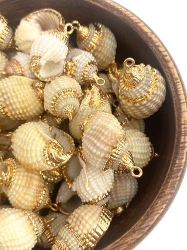 Mother Of Pearl Shells, Sku#M669