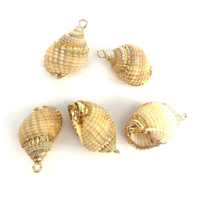Mother Of Pearl Shells, Sku#M669