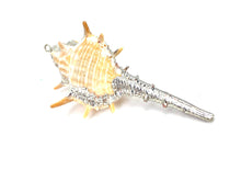 Mother Of Pearl Shell Sku#M662