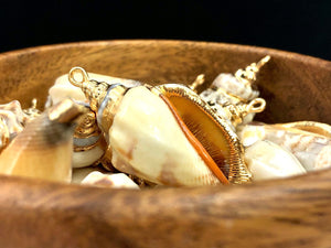 Mother Of Pearl Shell Sku#M645