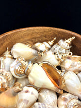Mother Of Pearl Shell Sku#M645
