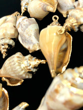 Mother Of Pearl Shell Sku#M645