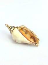 Mother Of Pearl Shell Sku#M645