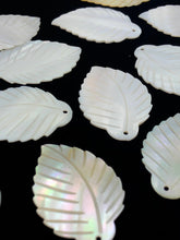 White South Sea Mother Of Pearl Leaf Sku#M289