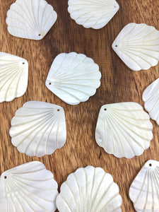 White South Sea Mother Of Pearl Clam Shell Sku#M208