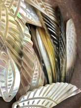 Black Tahitian Mother Of Pearl Wings Sku#M259