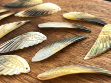 Black Tahitian Mother Of Pearl Wings Sku#M259