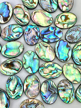 Oval abalone mother of pearl, SKU# M1015