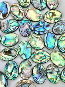 Oval abalone mother of pearl, SKU# M1015