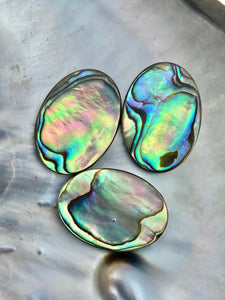Oval abalone mother of pearl, SKU# M1015
