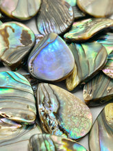 Tear drop abalone mother of pearl, SKU#M918