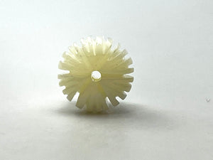 Mother of Pearl white tulip flower