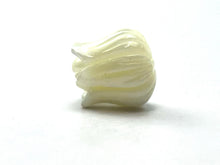 Mother of Pearl white tulip flower