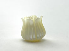 Mother of Pearl white tulip flower