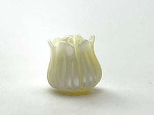 Mother of Pearl white tulip flower