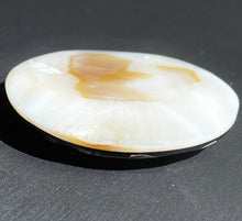 Circle abalone mother of pearl bead, SKU#M827