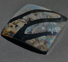 Abalone mother of pearl bead,SKU#M810