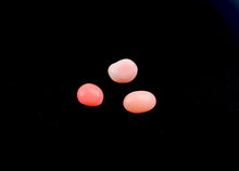 Natural Conch Loose 3 Pearls Total 4.76ct No. B1