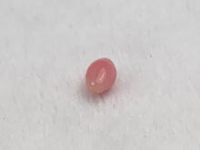 Natural Conch Loose Pearl 0.71ct No.61