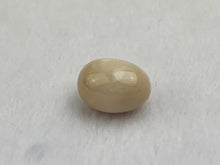 Natural Conch Loose Pearl 3.59ct No. G3