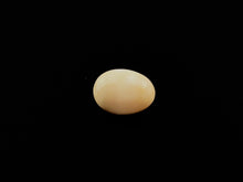 Natural Conch Loose Pearl 3.59ct No. G3