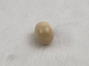Natural Conch Loose Pearl 3.59ct No. G3