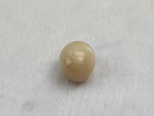 Natural Conch Loose Pearl 3.59ct No. G3