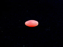 Natural Conch Loose Pearl 0.71ct No.61