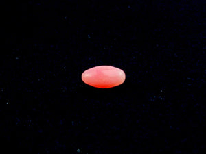 Natural Conch Loose Pearl 0.71ct No.61