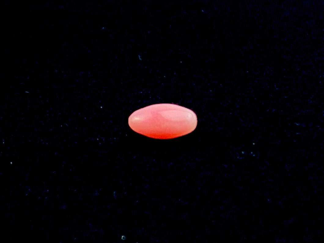 Natural Conch Loose Pearl 0.71ct No.61