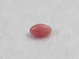 Natural Conch Loose Pearl 0.71ct No.61