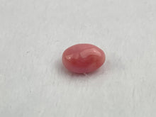 Natural Conch Loose Pearl 2.37ct No. 37